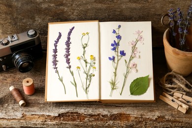 Photo of Composition with beautiful dried flowers, book and vintage camera on wooden table