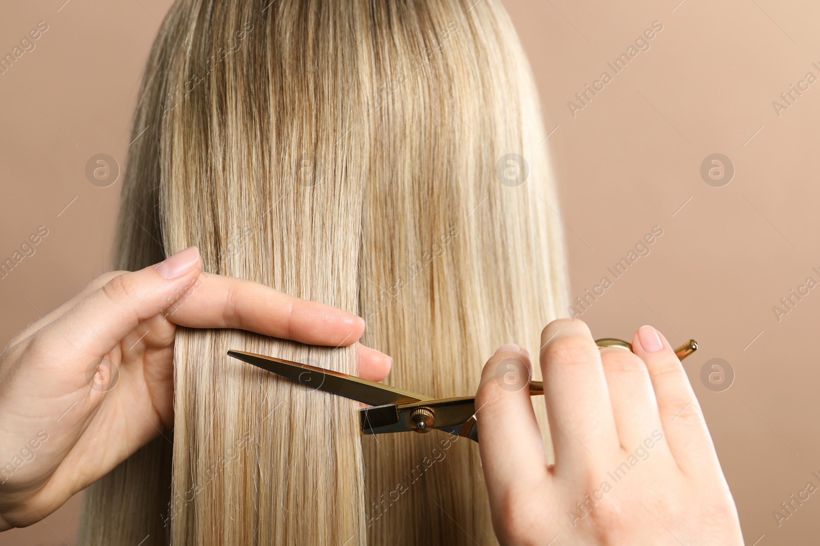 Photo of Hairdresser cutting client's hair with scissors on beige background, closeup