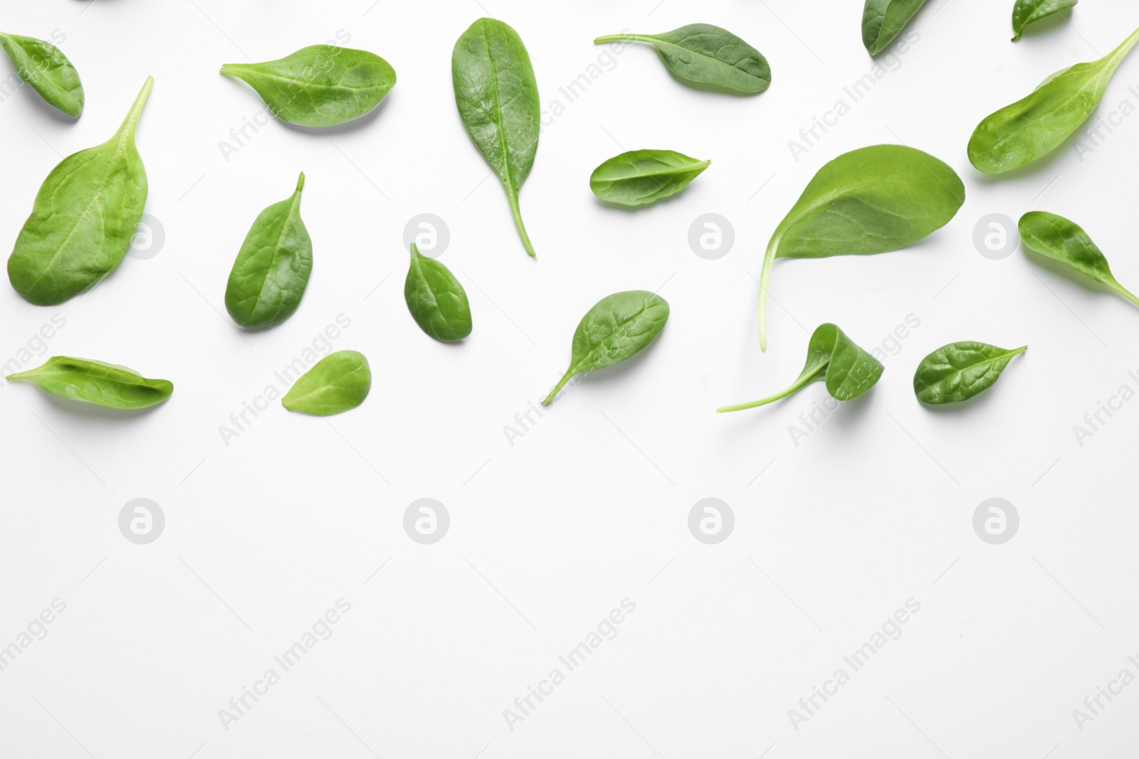 Photo of Fresh green healthy spinach leaves on white background, top view