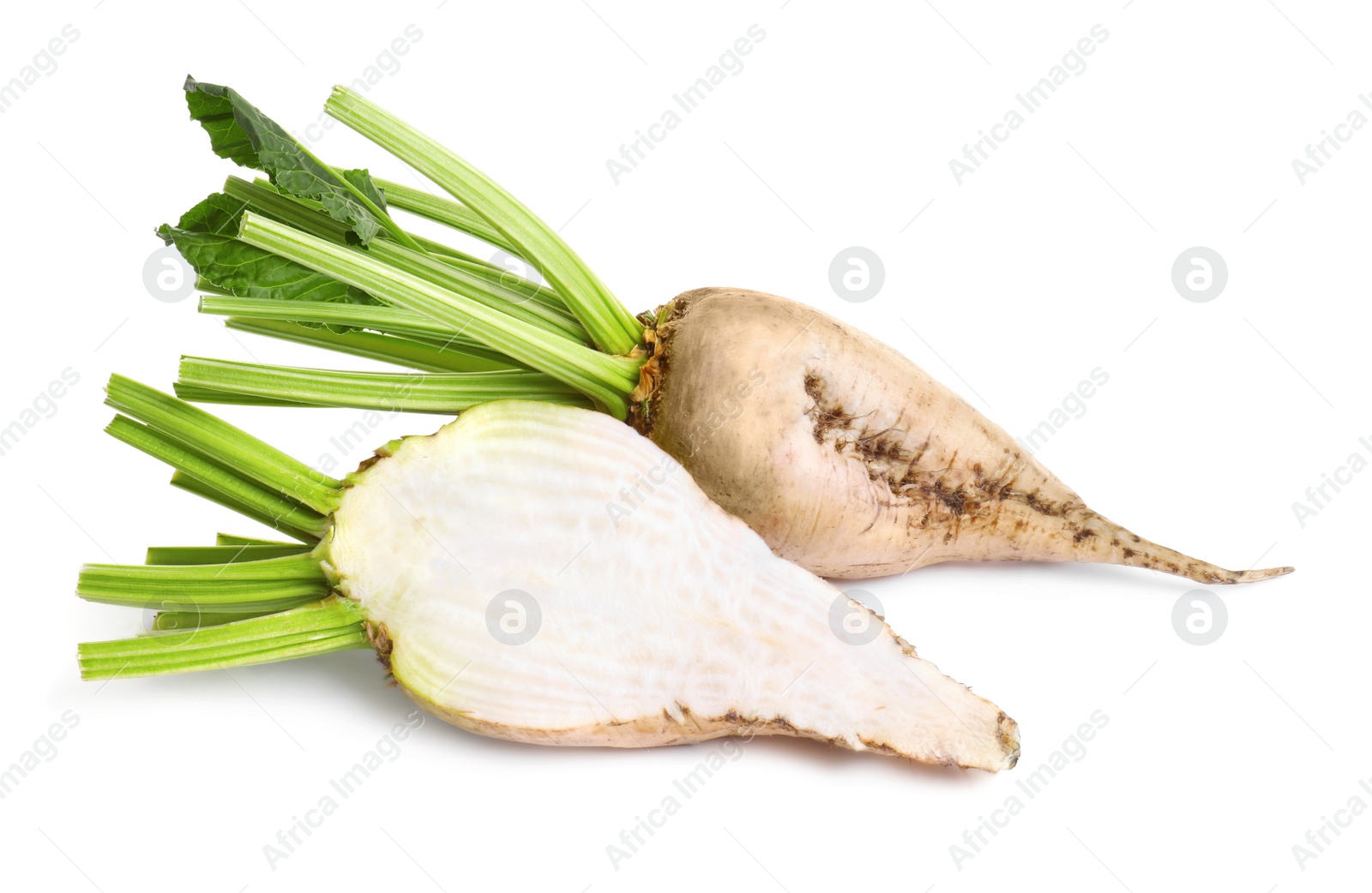 Photo of Whole and cut sugar beets on white background