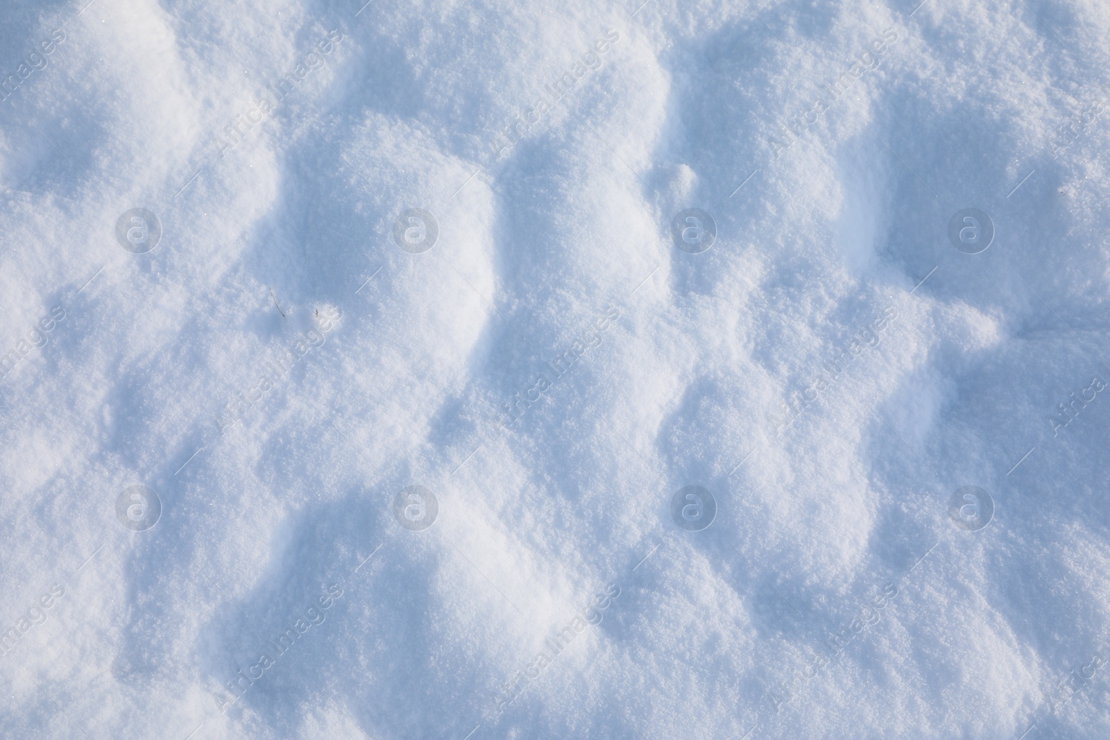 Photo of Beautiful white snow as background, closeup view