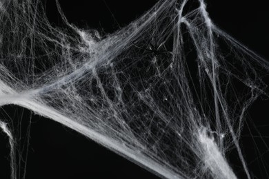 Spider on white cobweb against black background