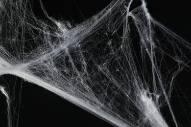 Photo of Spider on white cobweb against black background