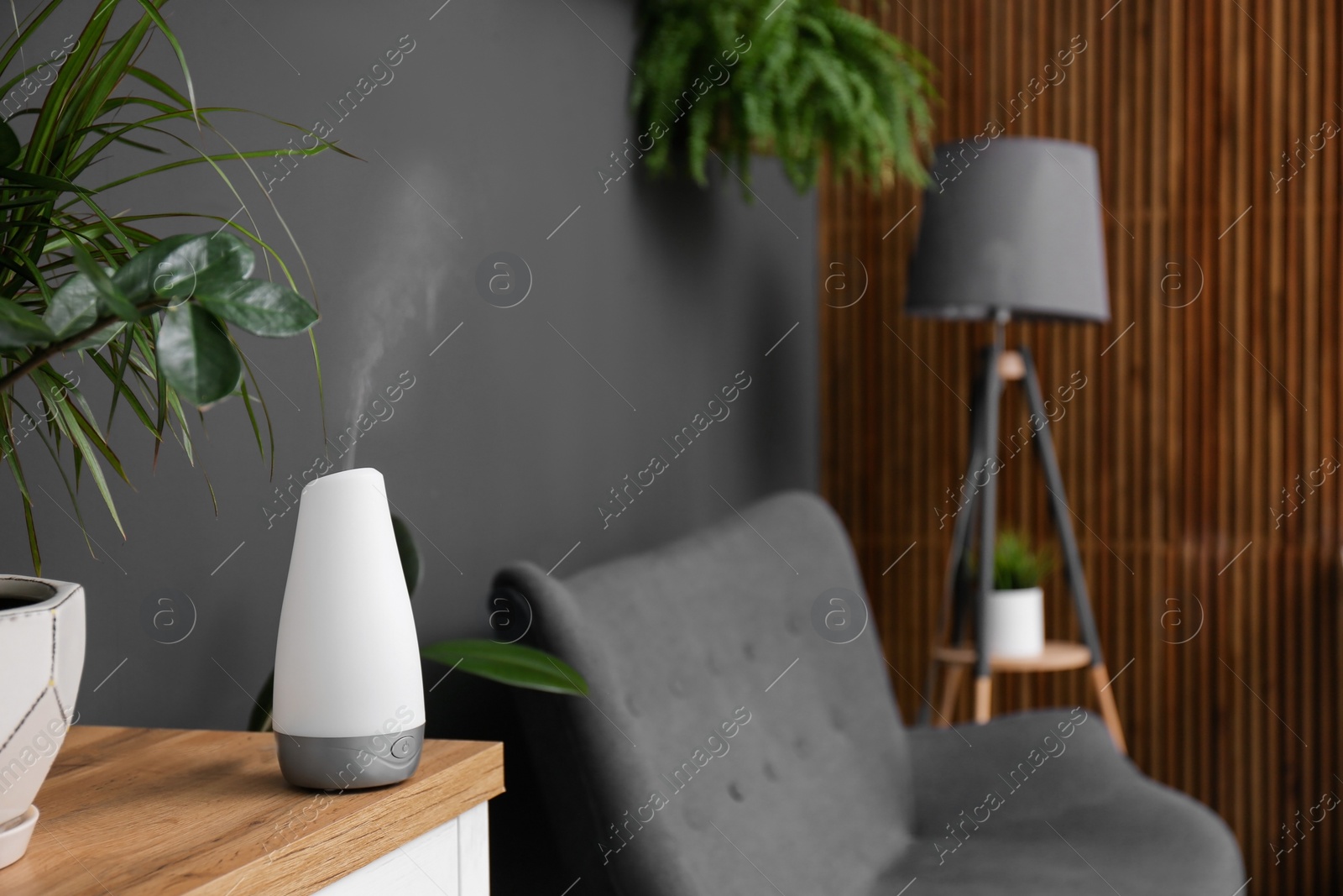 Photo of Plant and oil diffuser on cabinet indoors. Home design idea