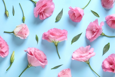 Photo of Flat lay composition with beautiful Eustoma flowers on color background