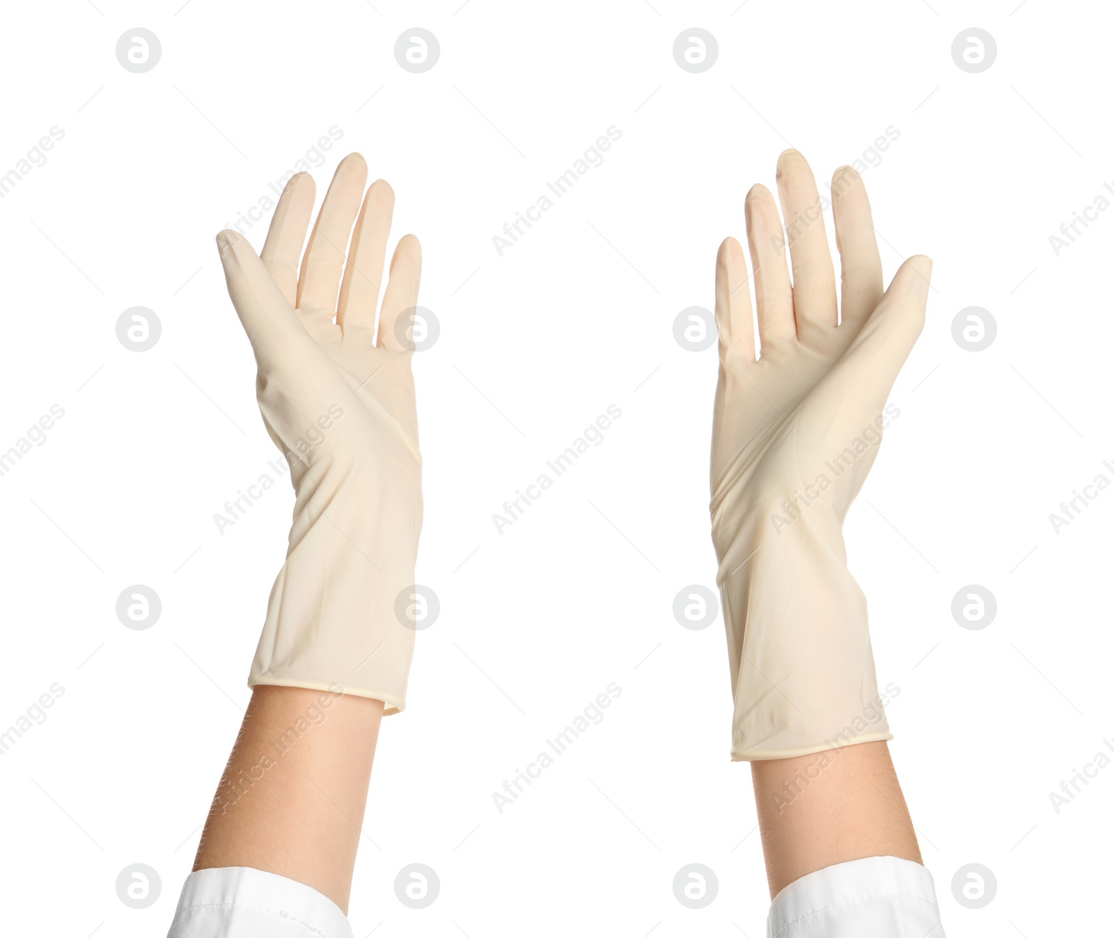 Photo of Doctor in medical gloves on white background