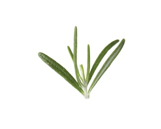 Photo of Fresh green rosemary leaves on white background