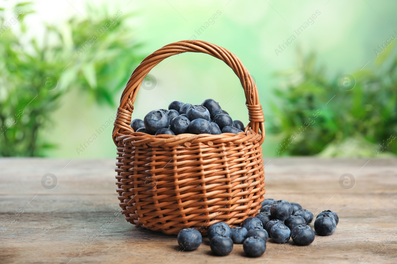 Photo of Wicker basket with fresh blueberries on wooden table against blurred green background