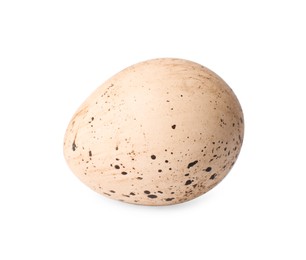 Photo of One speckled quail egg isolated on white