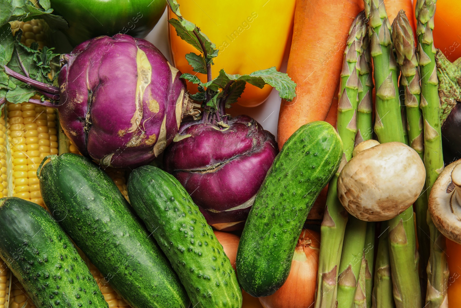 Photo of Assortment of fresh colorful vegetables, closeup. Healthy food