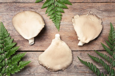 Flat lay composition with oyster mushrooms and leaves on wooden background