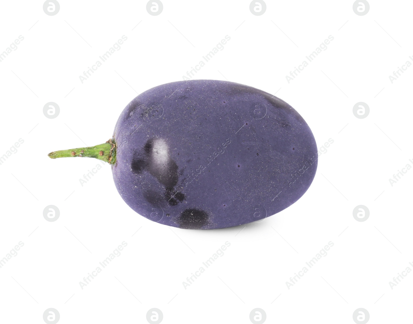 Photo of One ripe dark blue grape isolated on white