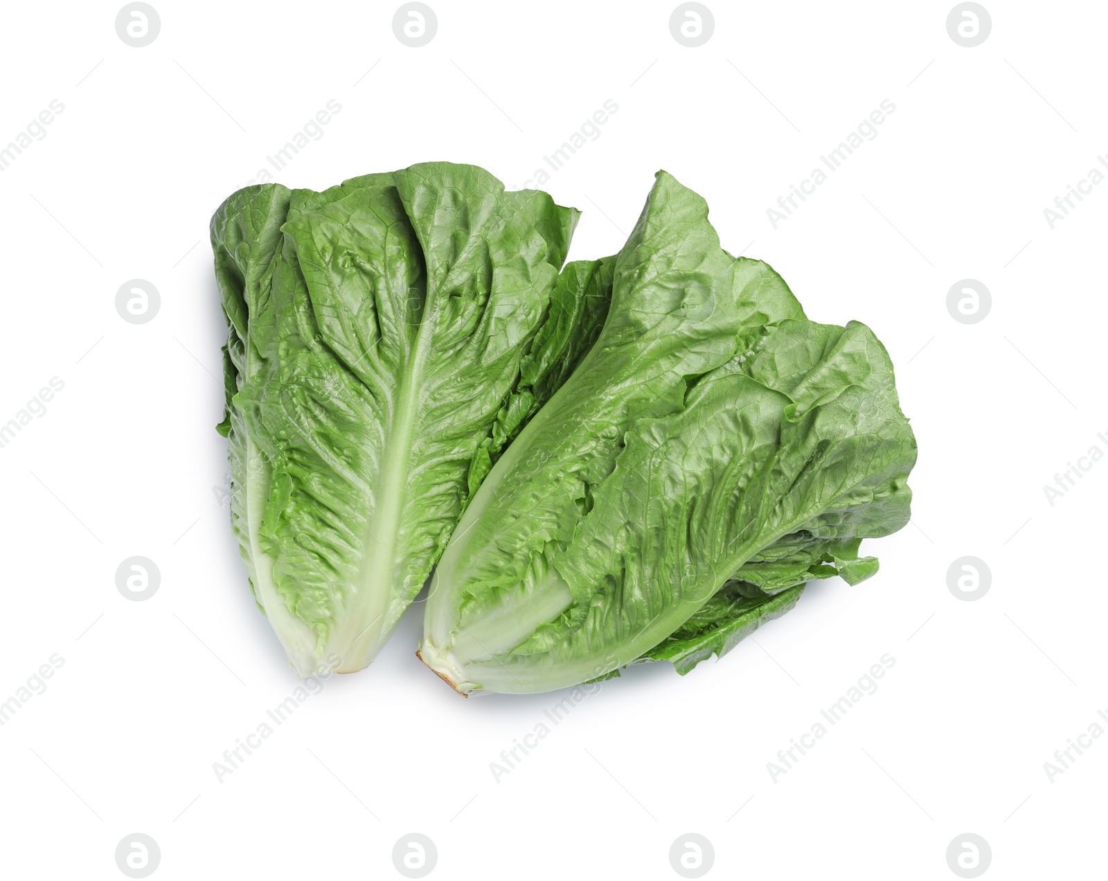 Photo of Fresh green romaine lettuces isolated on white, top view