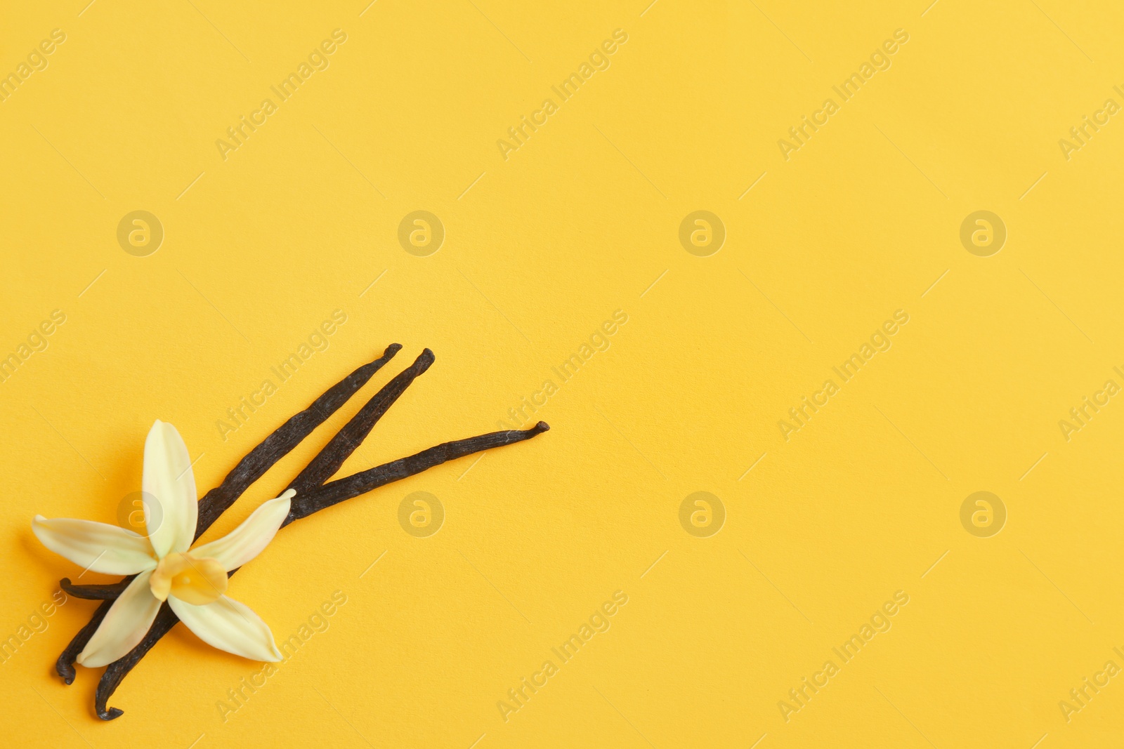 Photo of Flat lay composition with vanilla sticks and flower on yellow background. Space for text