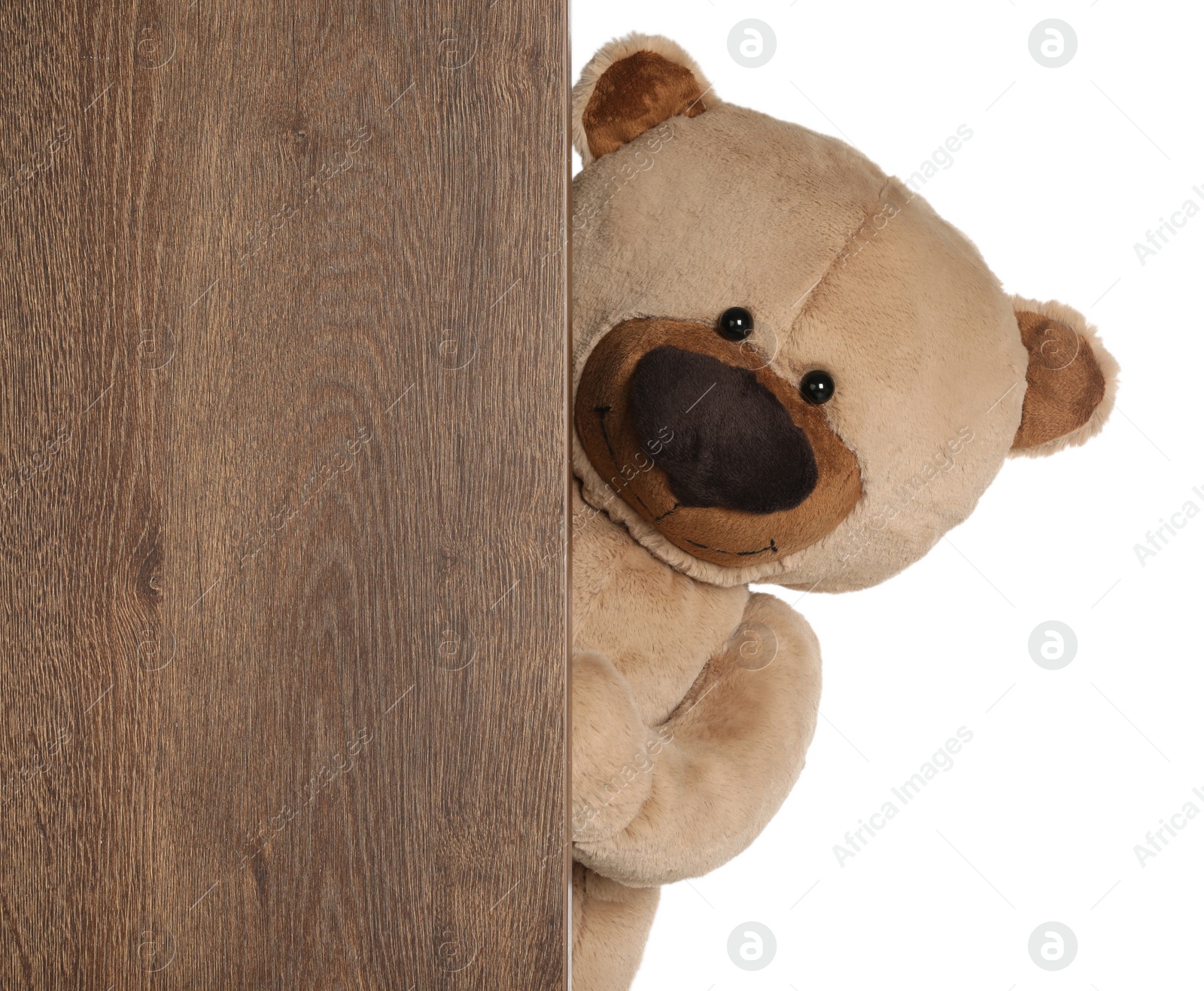 Photo of Cute teddy bear peeking out of wooden board on white background