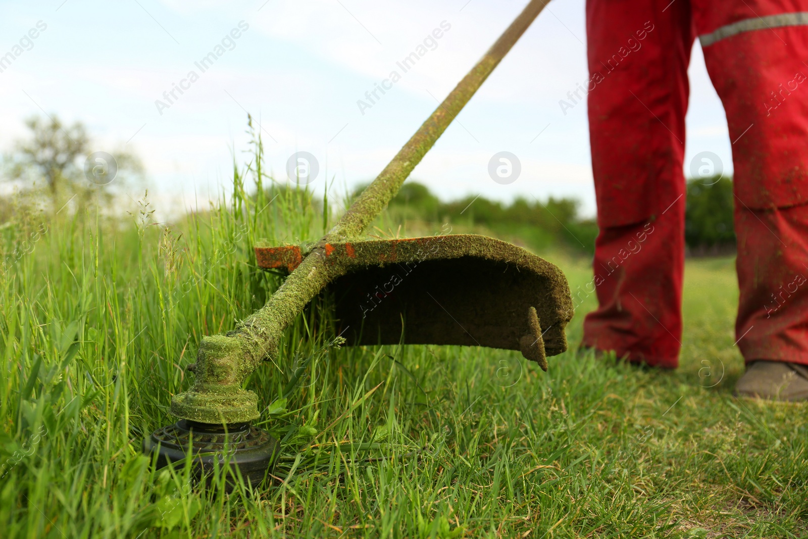 Photo of Worker cutting grass with string trimmer outdoors, closeup view