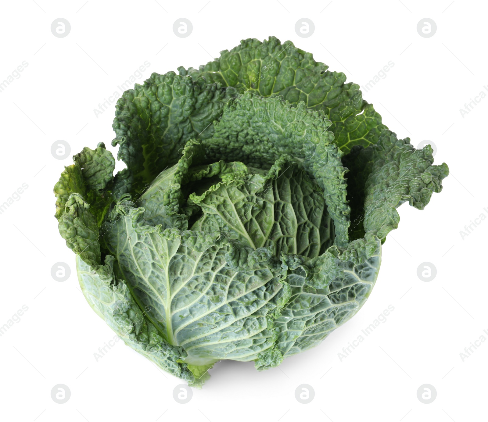 Photo of Fresh ripe savoy cabbage on white background