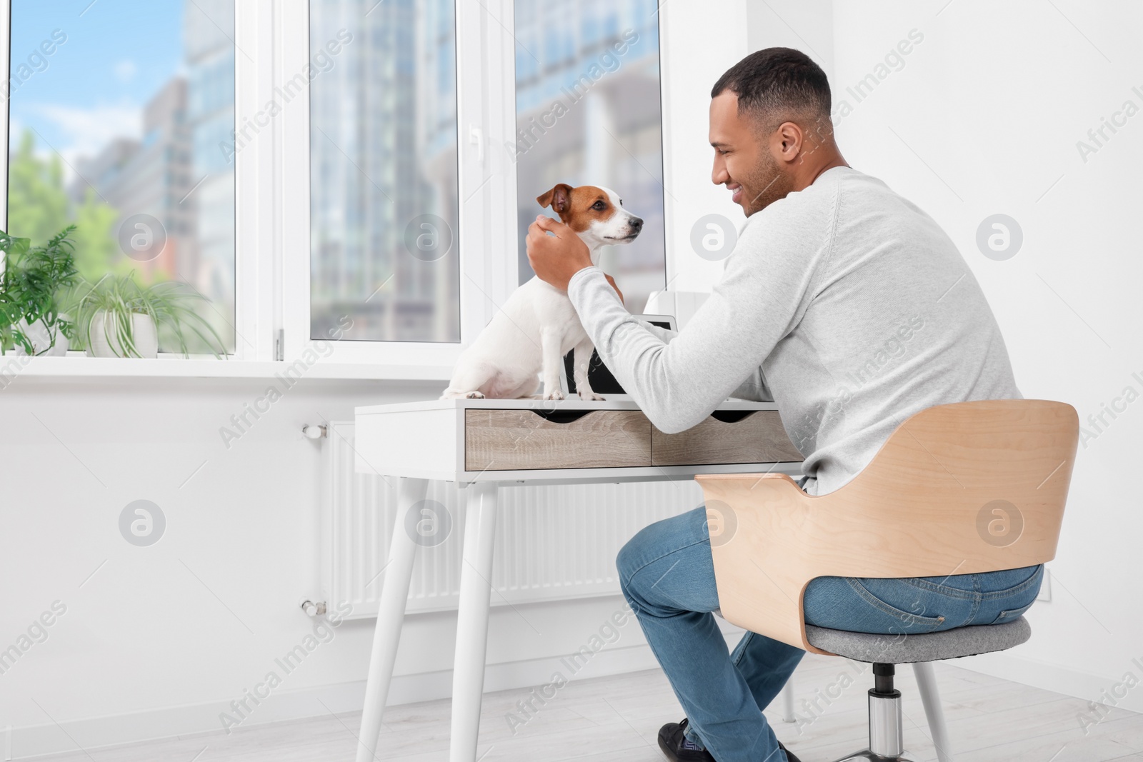 Photo of Young man with Jack Russell Terrier at desk in home office