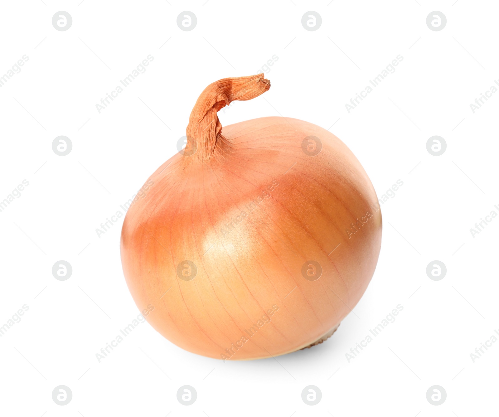 Photo of One fresh unpeeled onion isolated on white