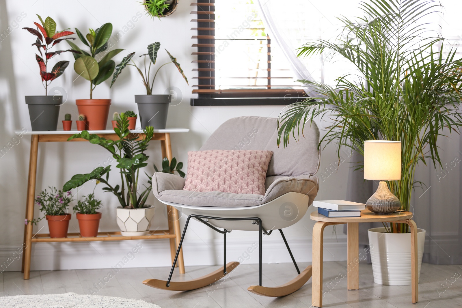 Photo of Stylish room interior with different home plants