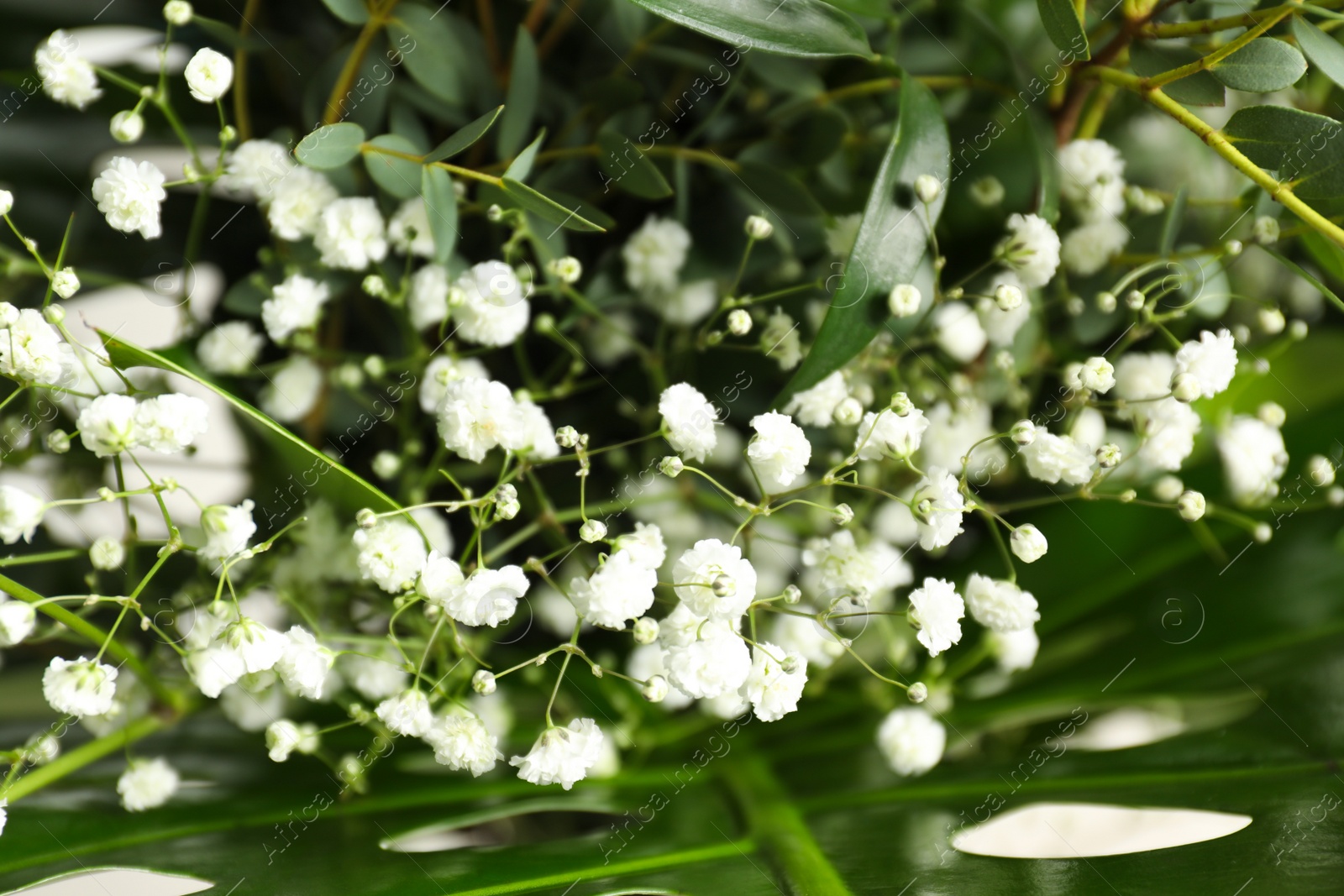 Photo of Beautiful bouquet with white flowers and green leaves, closeup. Floral background