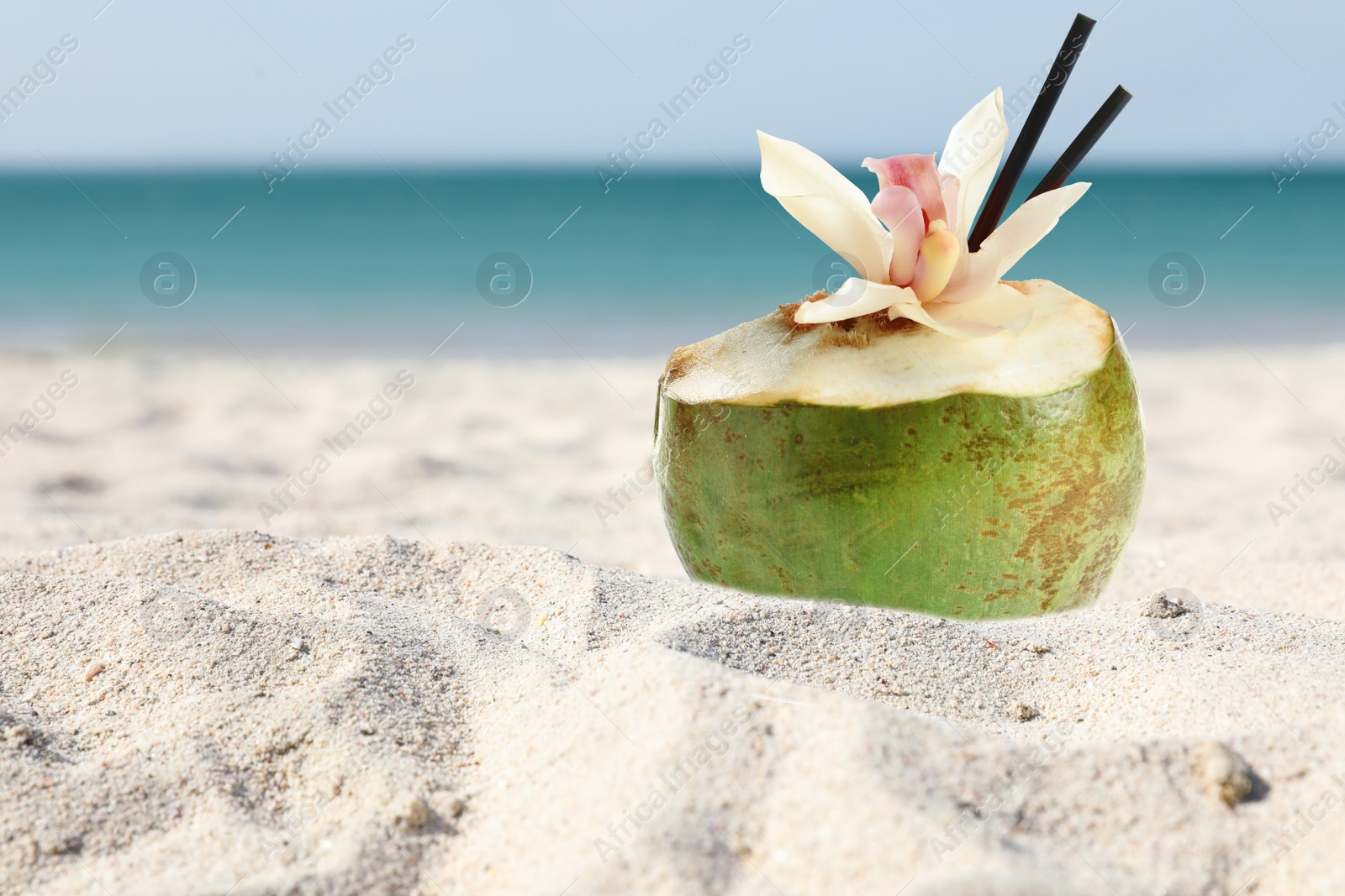 Image of Green coconut with refreshing drink on sandy beach