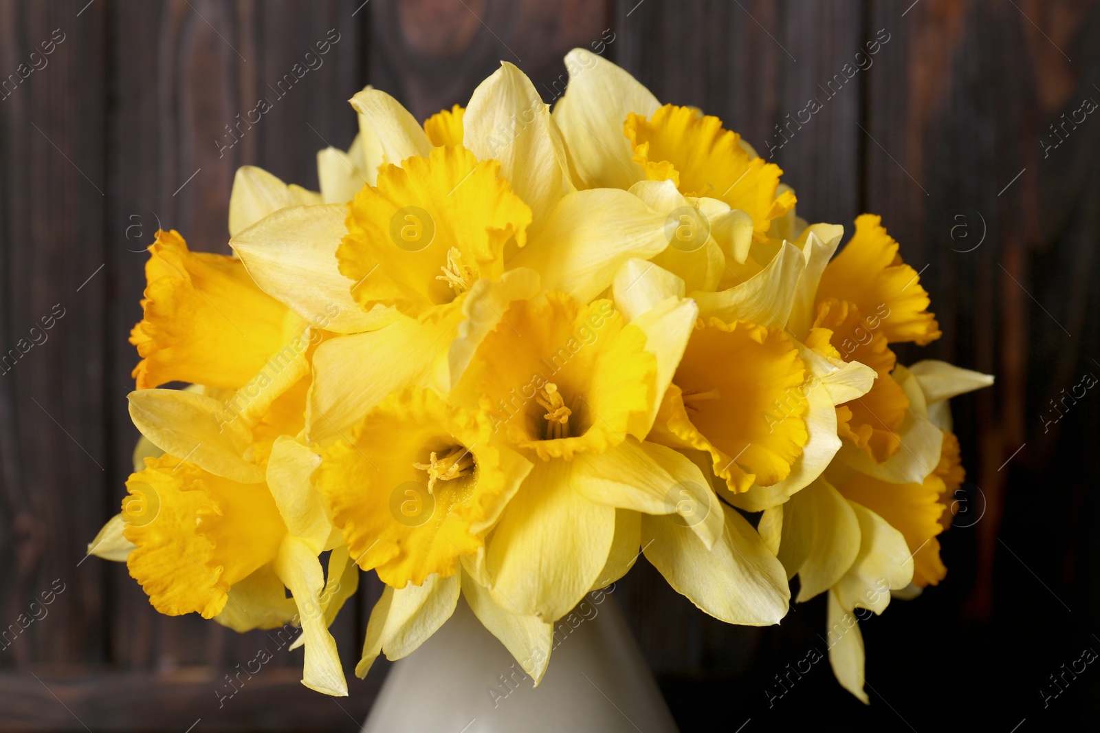 Photo of Bouquet of beautiful yellow daffodils in vase near wooden wall, closeup