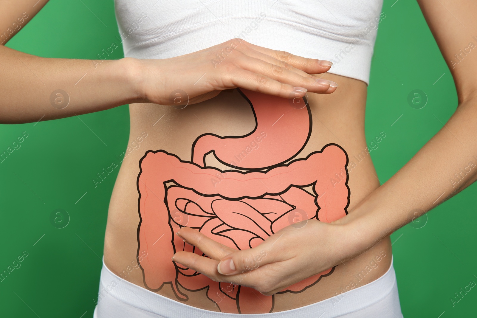 Image of Woman with image of healthy digestive system on green background, closeup