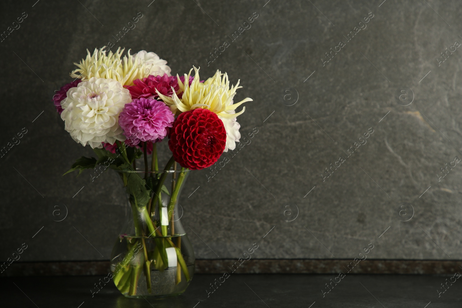 Bouquet of beautiful Dahlia flowers in vase on black table near grey wall. Space for text Photo of Bouquet of beautiful Dahlia flowers in vase on black table near grey wall. Space for text