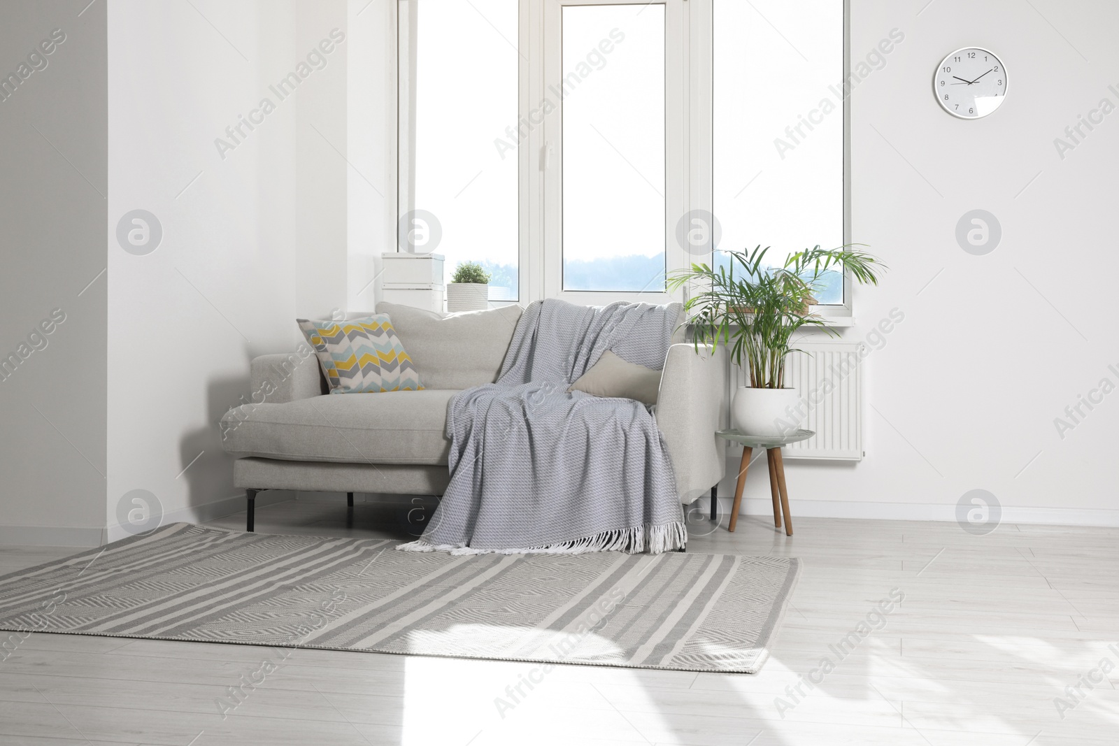 Photo of Cosy living room with sofa and potted plant. Interior design