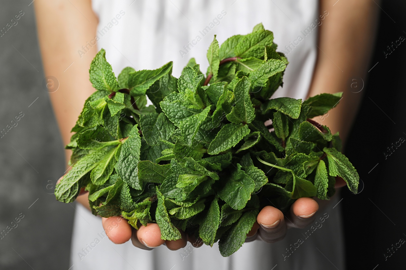 Photo of Young woman holding bunch of fresh mint, closeup