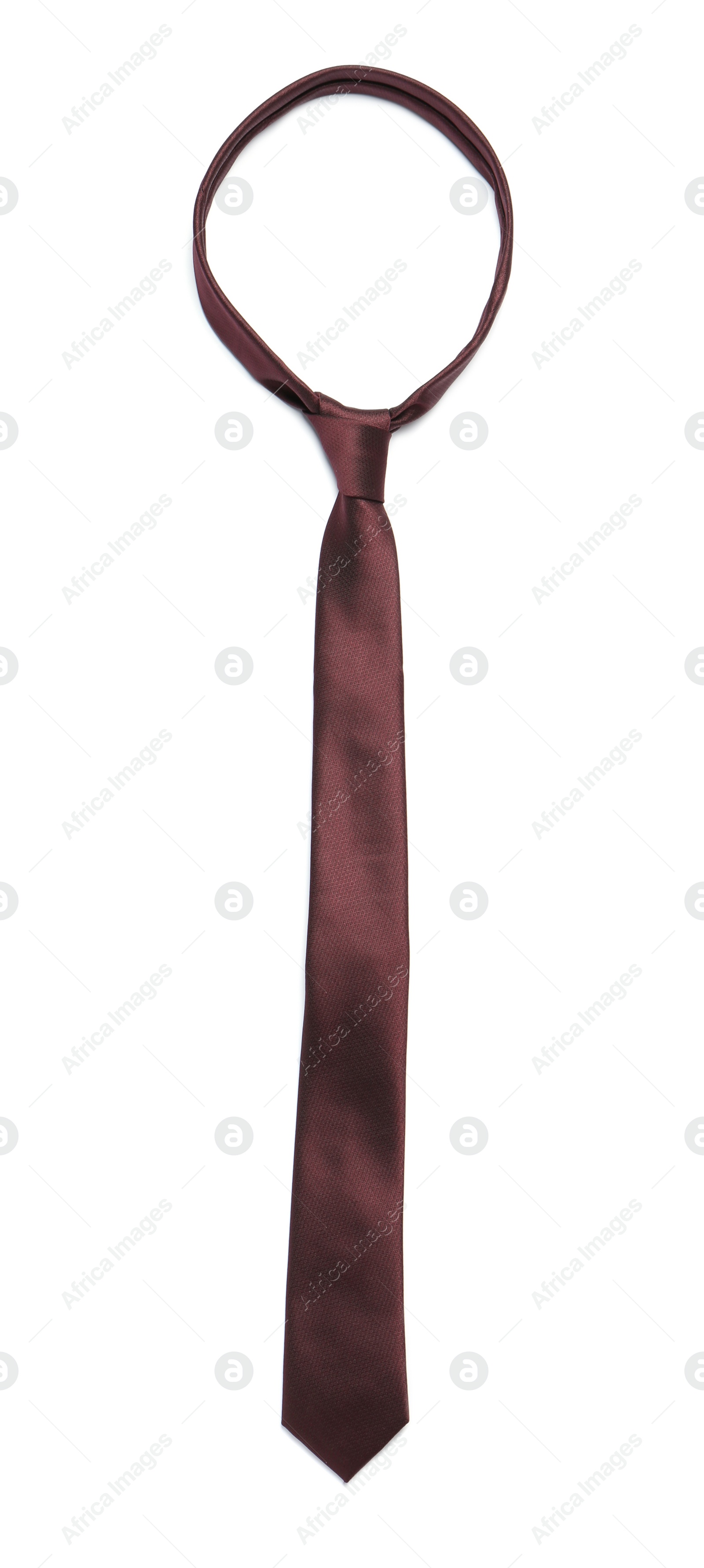 Photo of Stylish color male necktie isolated on white