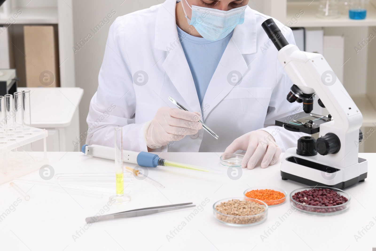 Photo of Quality control. Food inspector examining working in laboratory