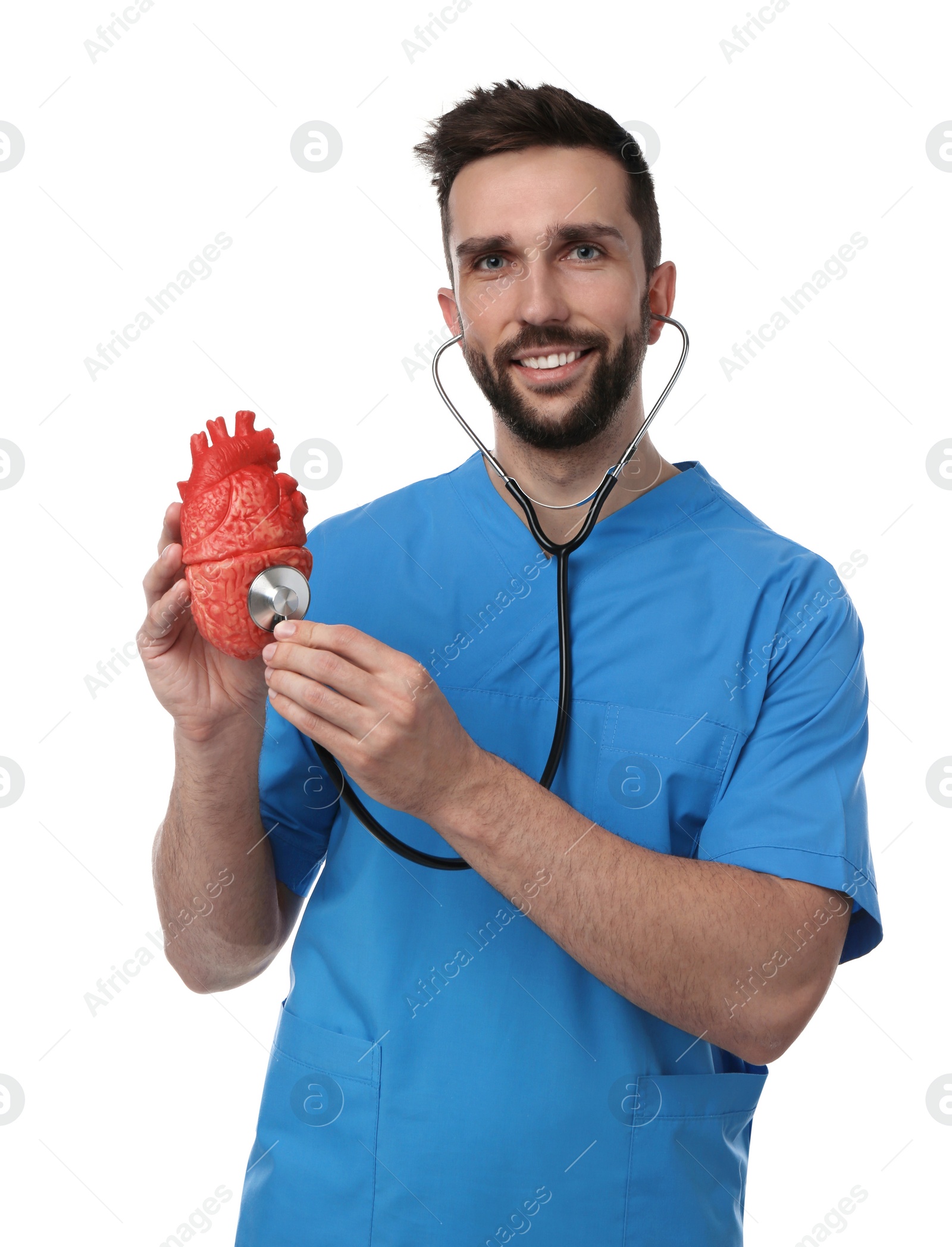 Photo of Doctor with stethoscope and model of heart on white background. Cardiology concept