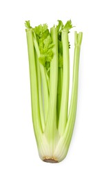 Photo of One fresh green celery bunch isolated on white, top view