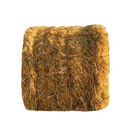 Image of Dried hay bale isolated on white. Agriculture industry