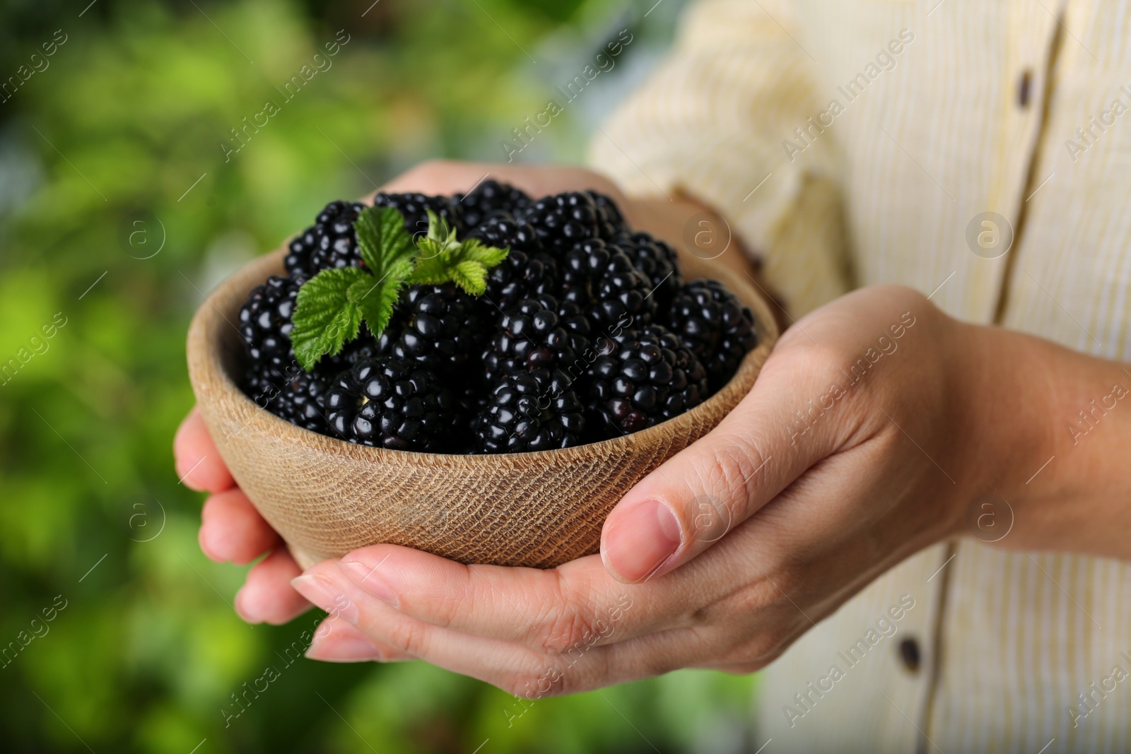 Photo of Woman holding bowl of fresh ripe blackberries on blurred natural background, closeup