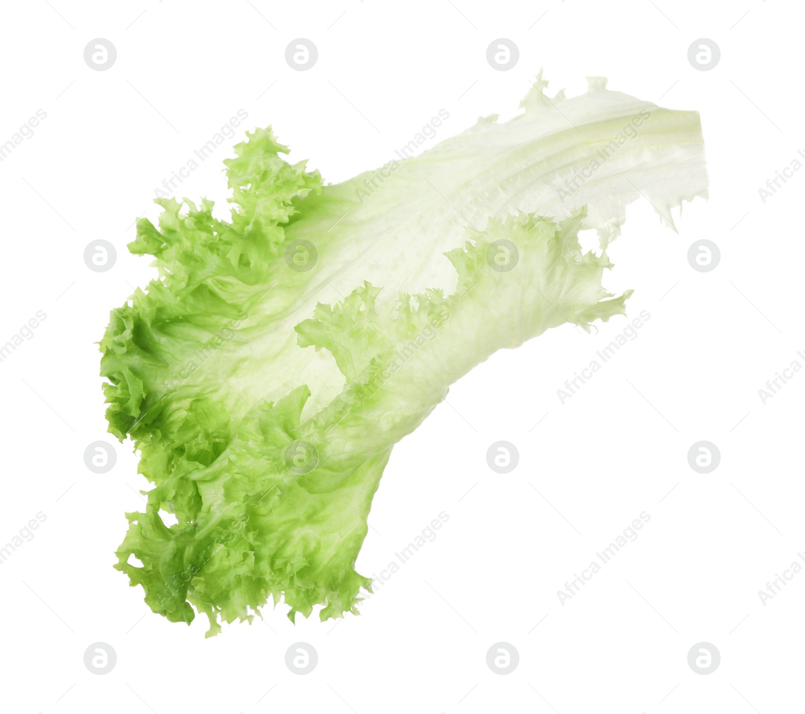 Photo of Fresh green lettuce leaf isolated on white