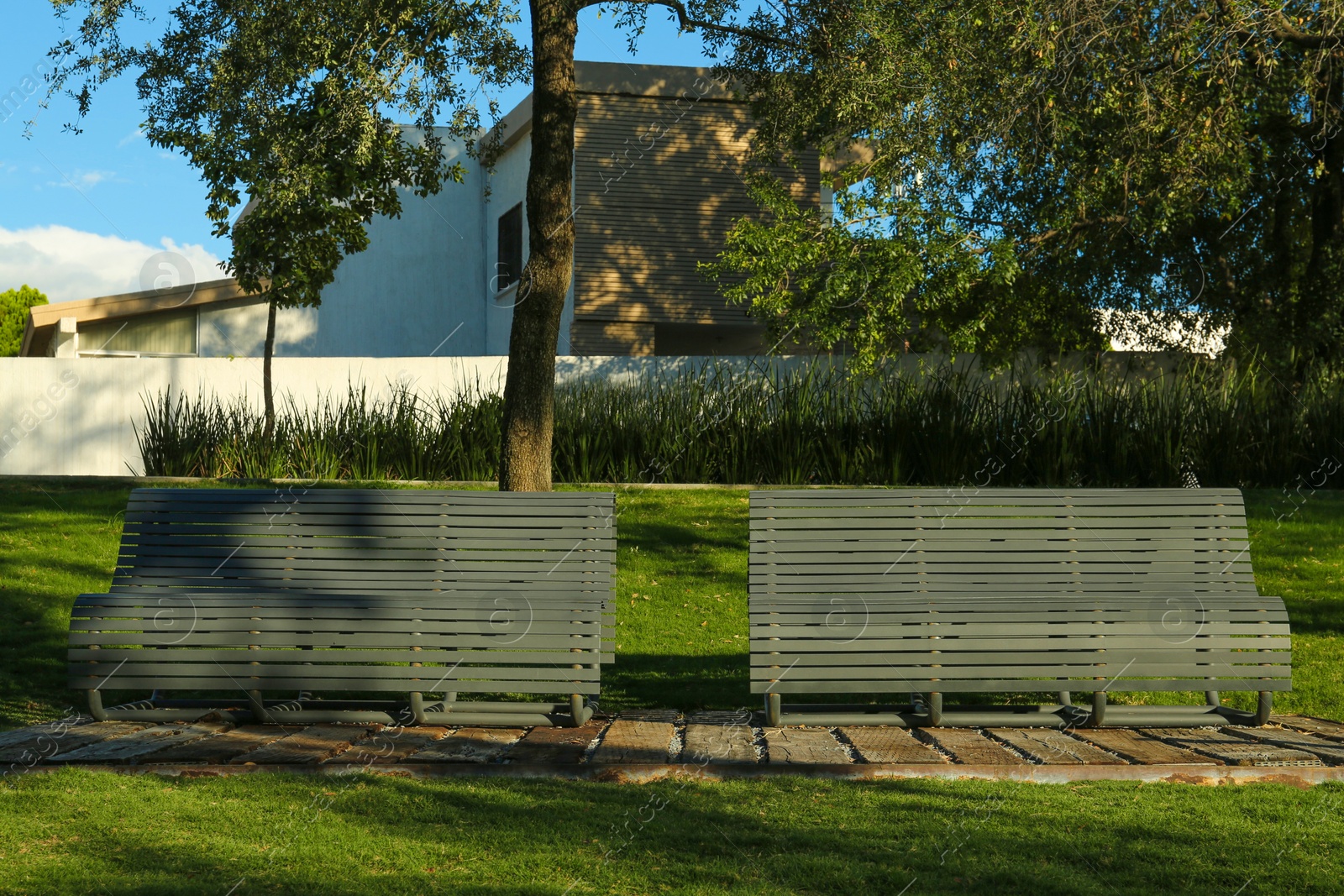 Photo of Stylish benches in green park on sunny day