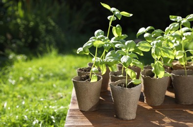 Beautiful seedlings in peat pots on wooden table outdoors. Space for text