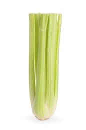 Fresh ripe green celery isolated on white