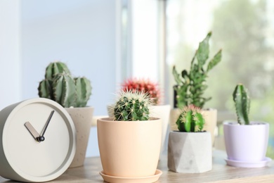 Beautiful cacti in flowerpots and clock on table