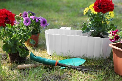Photo of Beautiful flowers in pots and gardening tools on grass