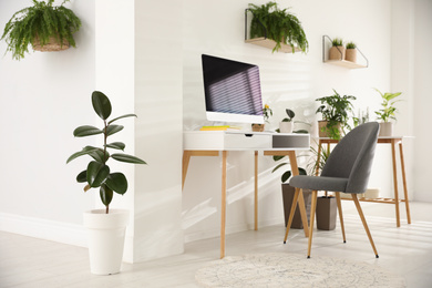 Photo of Modern workplace in room decorated with green potted plants. Home design
