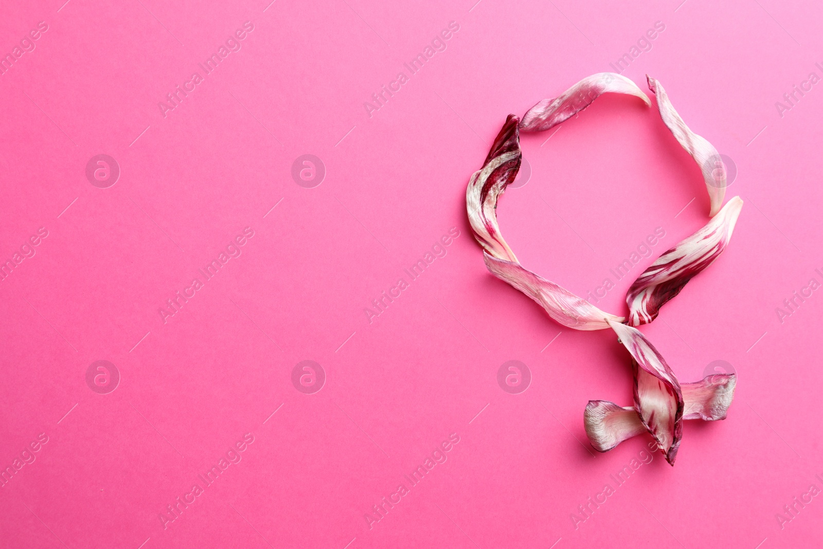 Photo of Female gender sign made of tulip petals on pink background, top view and space for text. Menopause concept