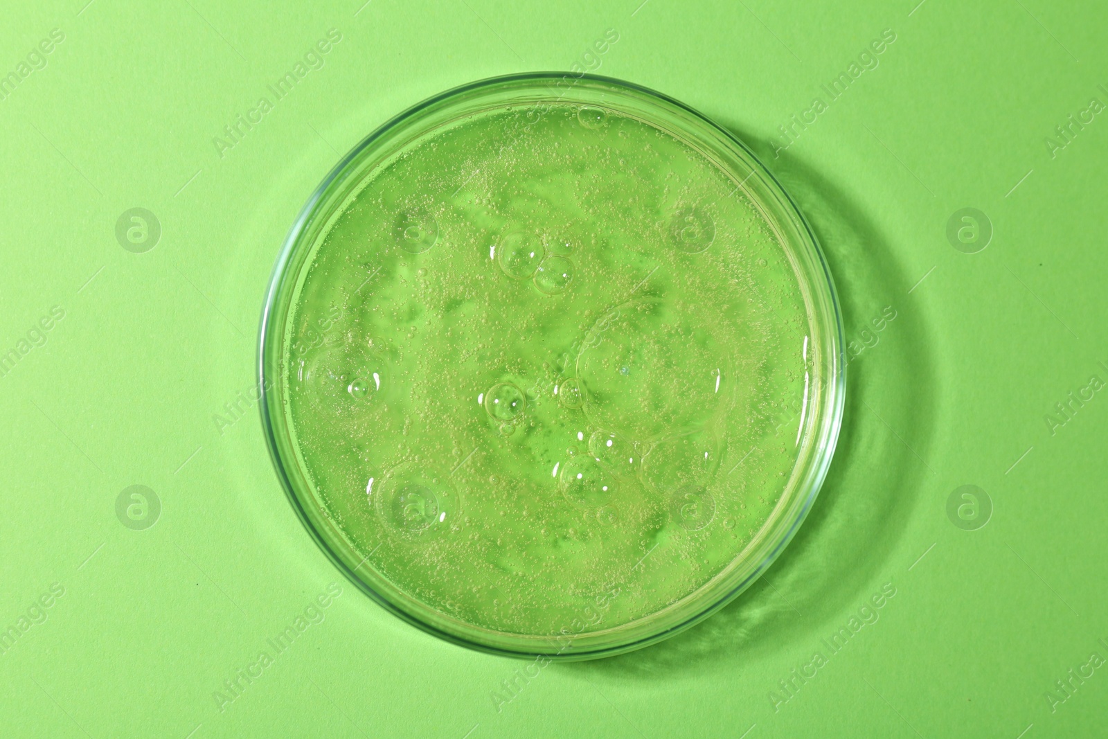 Photo of Petri dish with liquid sample on green background, top view