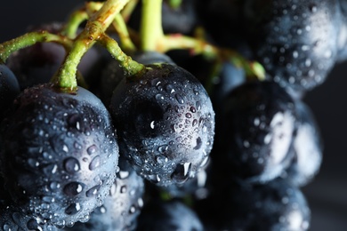 Bunch of fresh ripe juicy grapes as background, closeup