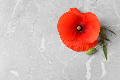 Poppy flower and leaves on grey table, top view with space for text