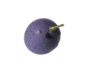 Photo of One ripe dark blue grape isolated on white