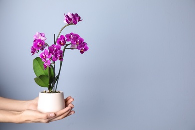 Photo of Woman holding flowerpot with beautiful orchid against light blue background. Space for text